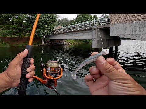 Imposible No Pescar En Este Lago Lleno De Peces