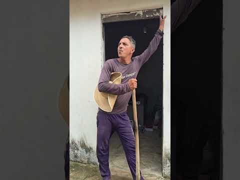25 de maio de 2025