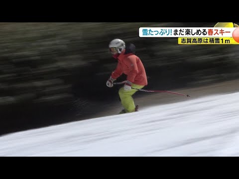 雪たっぷり！大型連休中も楽しめる「春スキー」　志賀高原は積雪1m