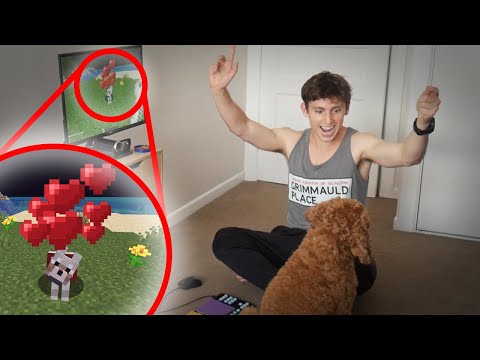 My Dog Tames a Dog in Minecraft