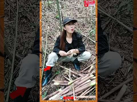 Mau ketawa takut dosa, video lucu hiburan warga +62 viral funny videos #shorts#sopongiro.