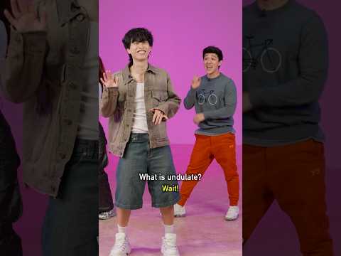 Can ALAN CHIKIN CHOW learn this dance without seeing it?