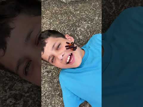 ESSA ARANHA QUASE PICOU ELE