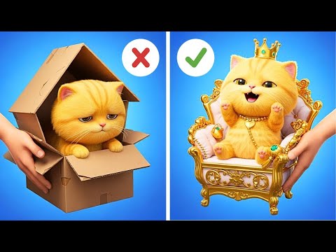 Fakir ve Kirli Bir Yavru Kedi Buldum! 🐱✨ Kedimi Güvende Tutmak İçin Gizli Ev