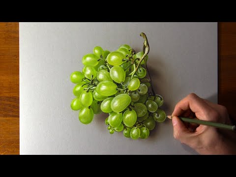 How to draw green grapes - Time Lapse (Long Version)