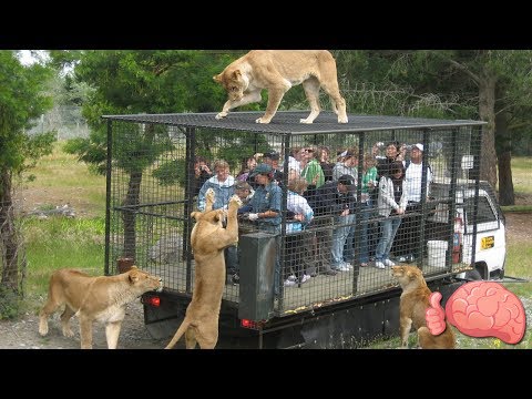 10 Inusuales ZOOLÓGICOS Que Debes Conocer | Mr. Tops