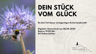 Stammtisch Steillagenkollektiv Juni 2024