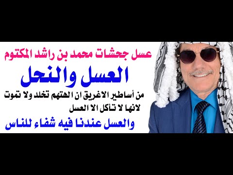 العسل وجحشات الشيخ  محمد بن راشد المكتوم