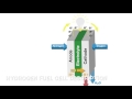 Hydrogen Fuel Cells: Key Concepts