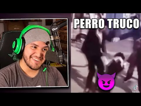 MISHIFU reacciona a SHITPOST #4