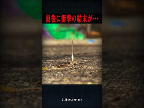 この「ハリ」には触らないで！