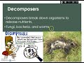 Food Web Concepts and Roles