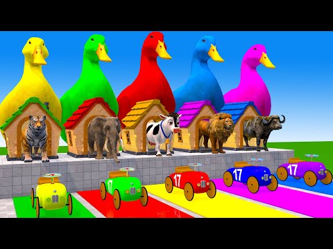 Long Slide Game With Elephant Gorilla Buffalo Hippopotamus Tiger - 3d Animal Game - Funny 3d Animals