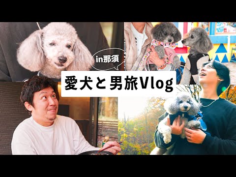 🐶【那須旅Vlog】愛犬と紅葉満開🍁のコテージ宿泊｜遊園地でワンコイベント参加したら大パニックに🎡