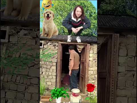 Use special effects to record the funny moments of the country sister #602