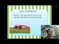 Environmental Impacts and Ecosystem Changes