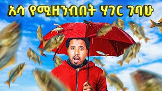 አሳ የሚዘንብበት ሀብታም ሀገር ገባሁ Abel Birhanu Travel to Norway Oslo