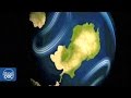 Exploring the Impact of Plate Tectonics on Extinction Events