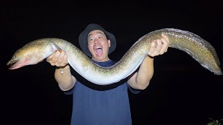 오키나와에서 괴물 장어를 잡아먹으며 캠핑카로 살아남아보자!