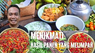 Menikmati Hasil Panen Yang Melimpah Dari Halaman Rumah | 13 Sept 2025