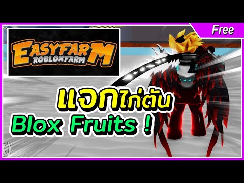 Roblox Blox Fruit : แจกรหัสไก่ตัน ซื้อแจกเลยจาก Ezzy Farm No.1