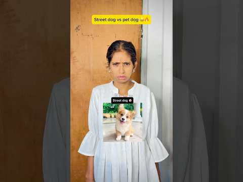 Street dog vs pet dog | #shorts #funny #comedy