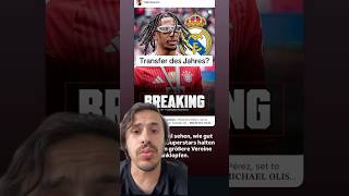 Olise zu Real Madrid?