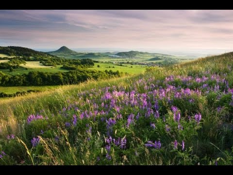 Dream in the Land of Stories - Relaxing