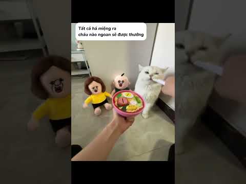 Há miệng ra, cháu nào ngoan sẽ được thưởng #shorts #giaitri #haihuoc