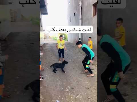 لقيت شخص يعذب كلب#حيوانات #كلب