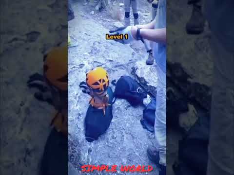 பயமா இருக்கா | Cat vs SIMPLE WORLD