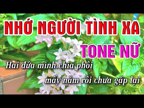 Nhớ Người Tình Xa Karaoke [ Tone Nữ ] Beat Karaoke Nhạc Sống Chất Lượng Cao | Lâm Organ