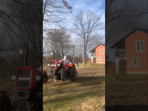 Safe Tree Felling Tips 😅😇 Beautiful Tractors #tractor #forestfarming #farming #woodworking