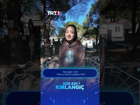 Kırlangıçlara oyunculuk tercihlerini sorduk! 🎬Cevaplar hızlı. Yorumlar karışabilir.