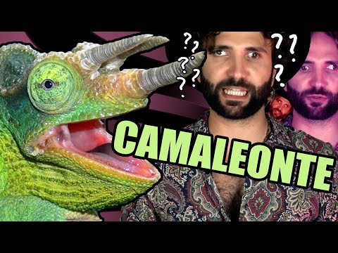 le menzogne del CAMALEONTE - SCIENZA BRUTTA
