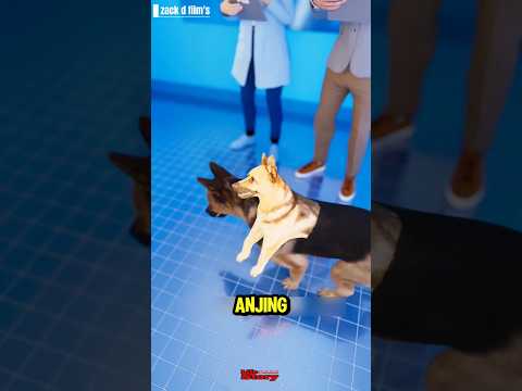 Kisah Sedih - Anjing Kepalanya Ada Dua 😥 #shortsfeed