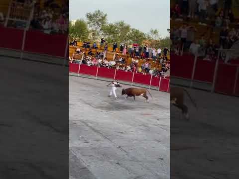 Concurso de maestros de la calle castellon 2022, @moha morete