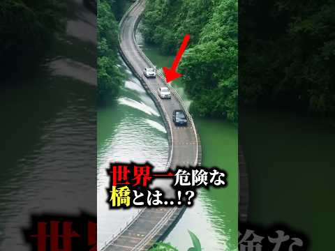 【中国】世界一危険な橋とは…！？ #おもしろ #海外の反応