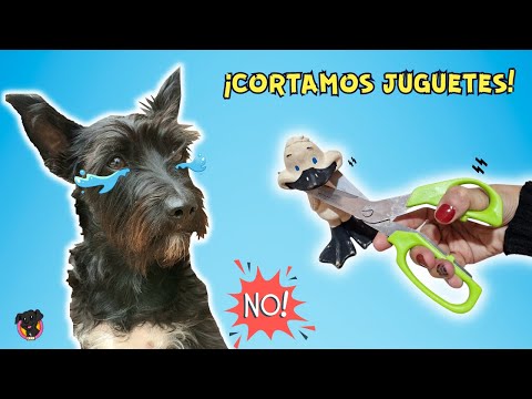 CORTAMOS JUGUETES Y NO elijas la CAJA INCORRECTA / Lana