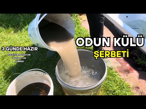 Organik Gübre Tarifi: Sadece Su ve Odun Külüyle! Bitkilere Mucize Dokunuş! Doğal Gübre Tarifi