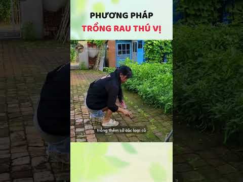 Ngỡ ngàng với ý tưởng trồng rau trên nền gạch... #sautrongtanla