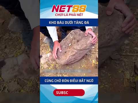 Kho báu dưới tảng đá #net88media