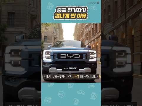 믿을 수 없는 중국 전기차 근황 #수요시장