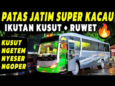 KUSUT MAMPUS 🔥 BUS PATAS JATIM ABAL² ‼️ NGETEM, NYESER, KUSUT  Trip Report Kusut Naik Bus AKAS PATAS