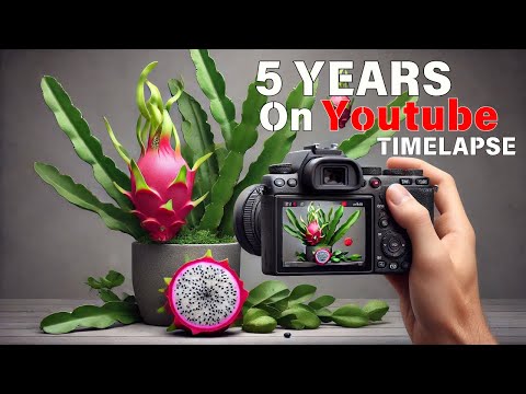 5 Years of Filming - All in One - PART 2. - Plant Time Lapse Compilation