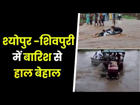 MP -कहीं बह गई बाइक , तो कहीं कार , कहीं ट्रैक्टर , शिवपुरी -श्योपुर क्षेत्र में बाढ़ के हालात