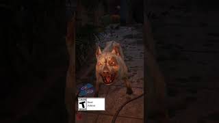 SLB: DAWNBREAKERS OF RONDO Gameplay Sneak Peek | PUBG