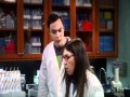 Sheldon and Amy's Laboratory Adventures