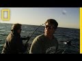 Fishing Challenges and Finality