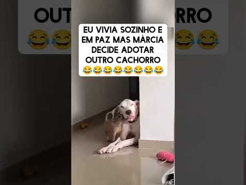 Irmãozinho. #humor #piada #comedia #meme #ironia #engraçado #memesbrasil #zoeira #risadas #zueirase